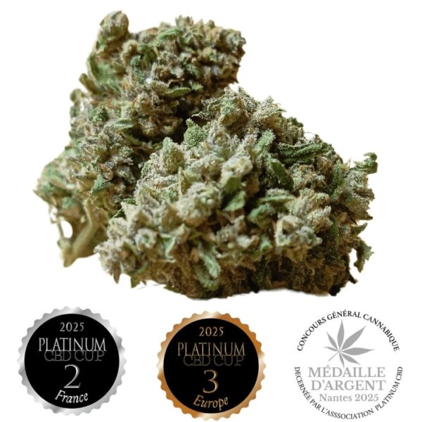 Legendary platinum OG purple