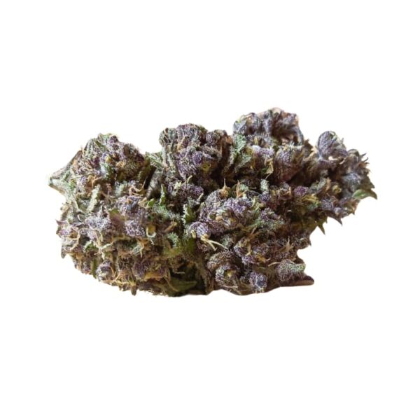 Tropical purple